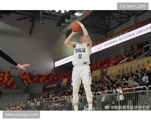 NBL今日战报:焦作文旅战胜盐南苏科雄狮威姆斯表现出色砍下20分11篮板